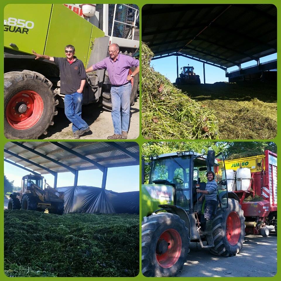 11825163_883605628376041_686545933289756811_n-1