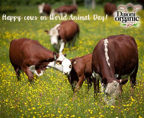 14469574_1337024066309084_5932944471387411690_n