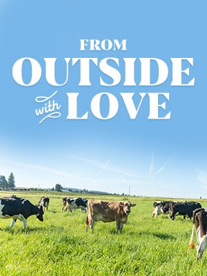 2b376b7b-b1f0-4564-bed8-a9d768bd865e-_-6