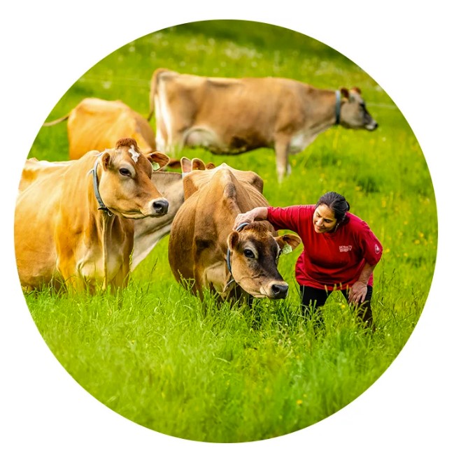 anh_chup_man_hinh_2022-08-01_094915-5